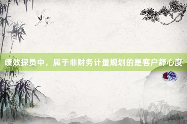 绩效探员中，属于非财务计量规划的是客户舒心度