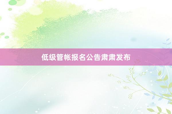 低级管帐报名公告肃肃发布