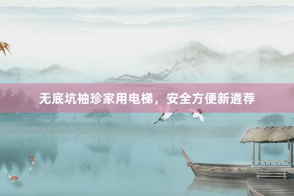 无底坑袖珍家用电梯，安全方便新遴荐
