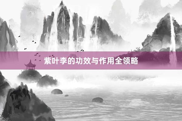 紫叶李的功效与作用全领略
