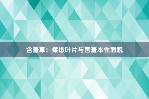 含羞草：柔嫩叶片与害羞本性面貌